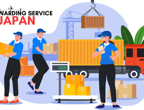 Your Gateway to Hassle Free Japanese Shopping